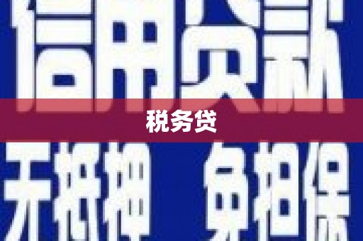 加格达奇税务贷
