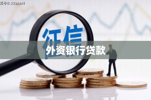 加格达奇外资银行贷款