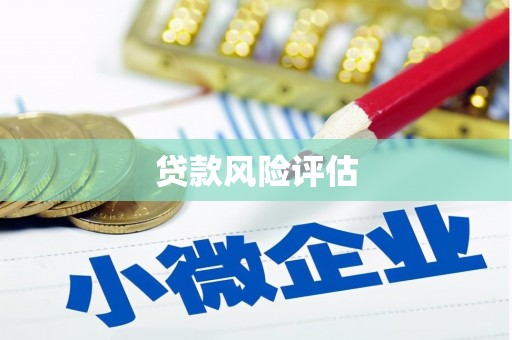 加格达奇贷款风险评估