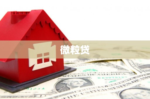 加格达奇微粒贷