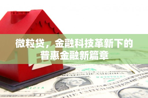 加格达奇微粒贷，金融科技革新下的普惠金融新篇章