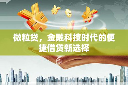 加格达奇微粒贷，金融科技时代的便捷借贷新选择