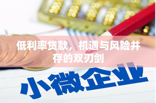加格达奇低利率贷款，机遇与风险并存的双刃剑