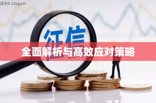 加格达奇全面解析与高效应对策略